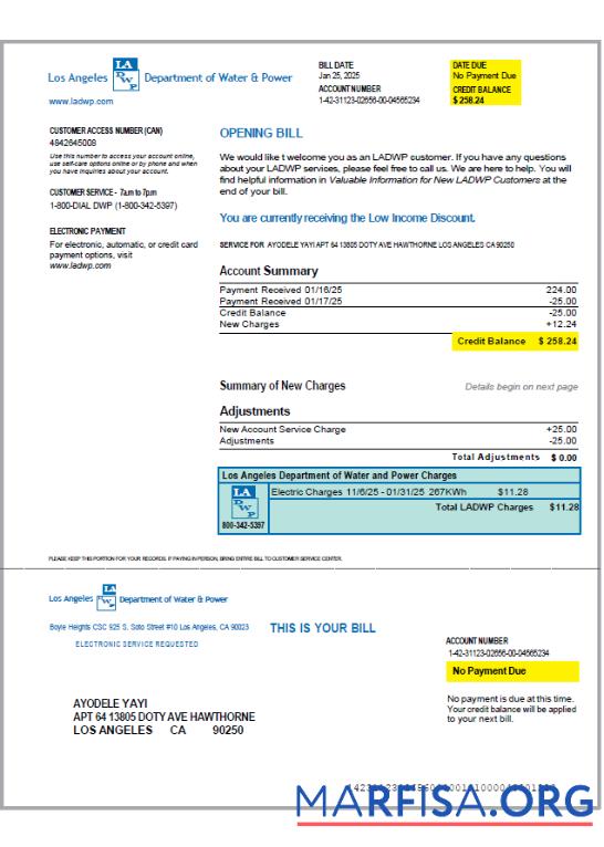 Blank USA LA DWP utility bill template in Word and PDF formats, version 2
